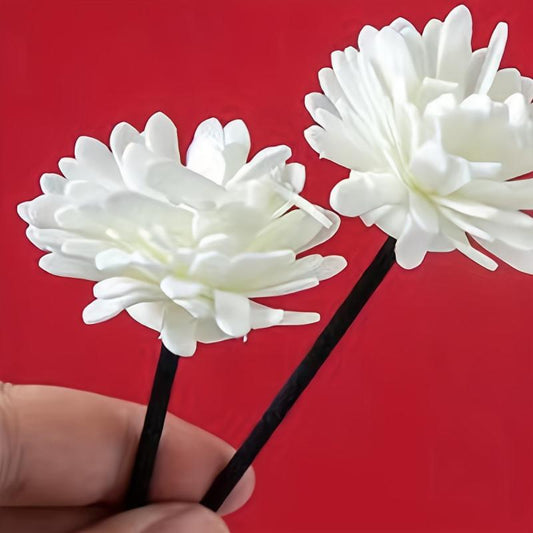 10pcs Aromatherapy Rattan Sticks & 1pc Dried Flower Home Decor