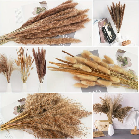 65pcs Natural Pampas Grass Bouquet Dried Floral Arrangement Wedding Decor