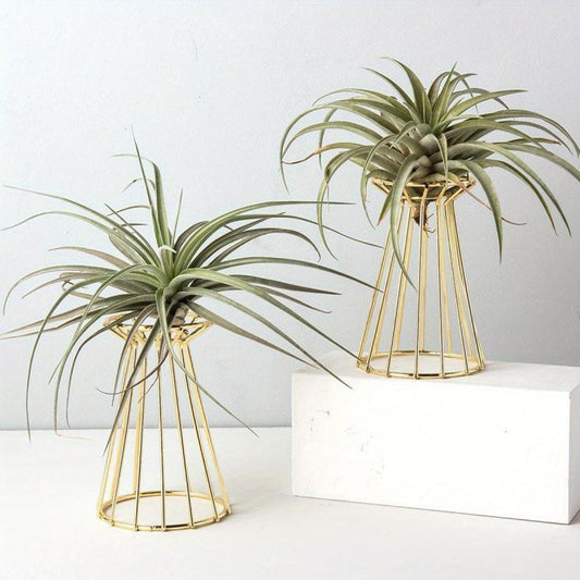Iron Golden Vase Air Plant Holder Enneagon Tower Geometric Plant Stand