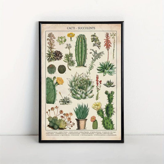 Watercolor Cactus Botanical Chart Poster Canvas Print