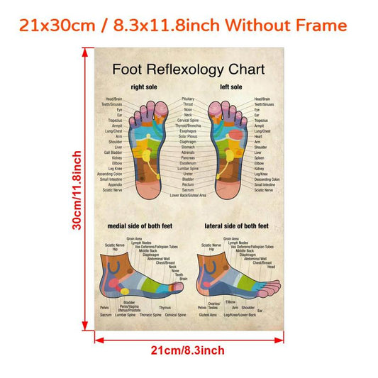 Reflexology Foot Massage Chart Canvas Print Poster