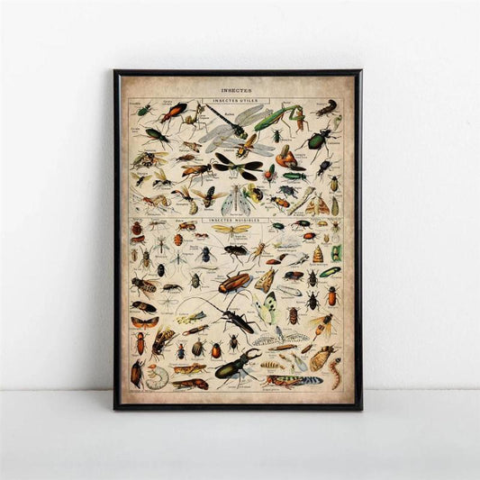 Retro Insect Art Canvas Poster for Wall Decor Vintage Painting