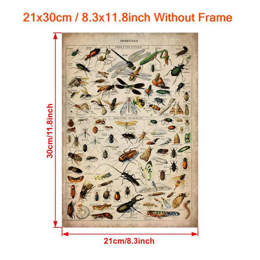 Retro Insect Art Canvas Poster for Wall Decor Vintage Painting