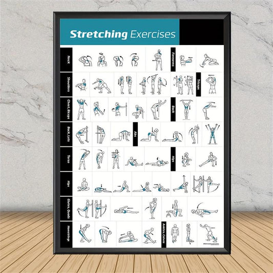 Bodybuilding Gym Dumbbell Exercise Training Chart Poster