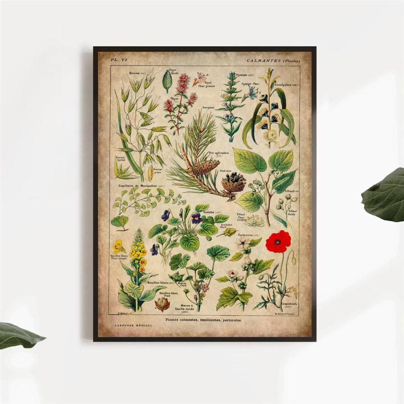 Vintage Medicinal Plants Painting on Canvas - Soothing Herbs and Flowers