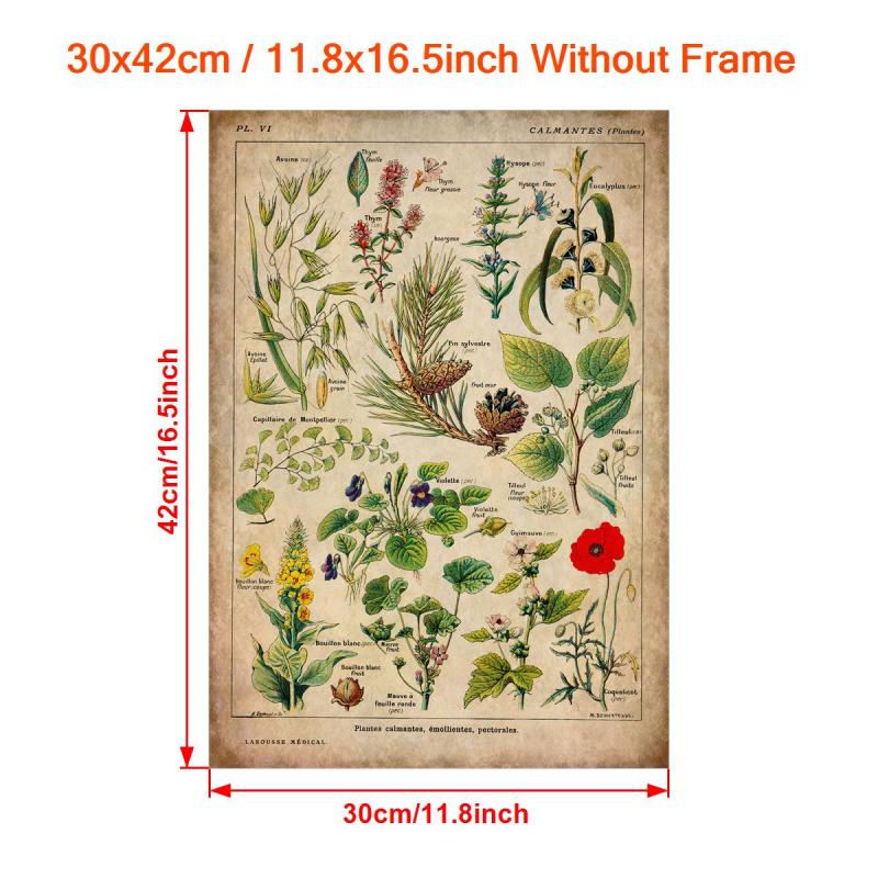 Vintage Medicinal Plants Painting on Canvas - Soothing Herbs and Flowers