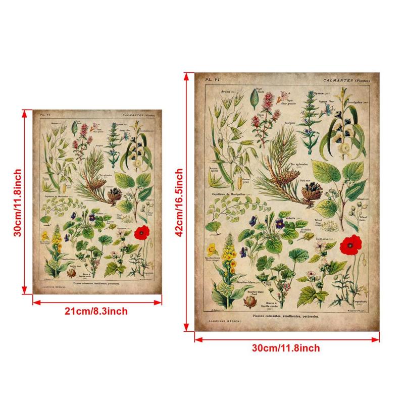 Vintage Medicinal Plants Painting on Canvas - Soothing Herbs and Flowers