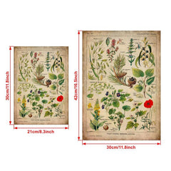 Vintage Medicinal Plants Painting on Canvas - Soothing Herbs and Flowers