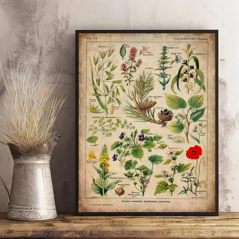 Vintage Medicinal Plants Painting on Canvas - Soothing Herbs and Flowers