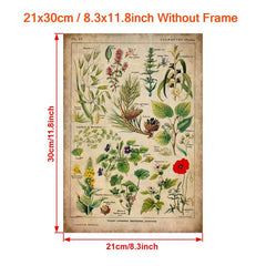Vintage Medicinal Plants Painting on Canvas - Soothing Herbs and Flowers