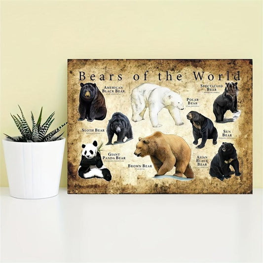 Bears Of The World Painting On Canvas Wall Art Artwork
