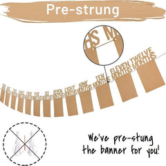 1st Birthday Photo Banner: Monthly Milestone Celebration