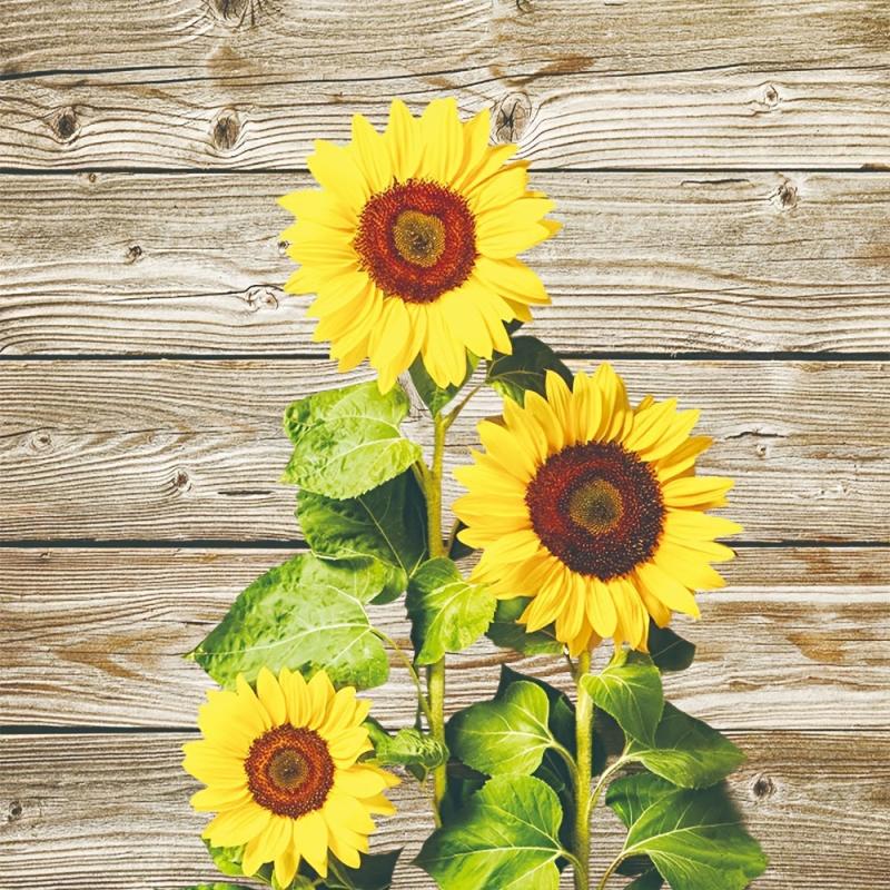 Sunflowers Hanging Towel for Farmhouse Decor