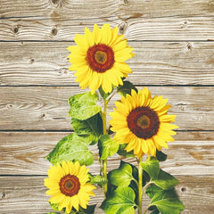 Sunflowers Hanging Towel for Farmhouse Decor