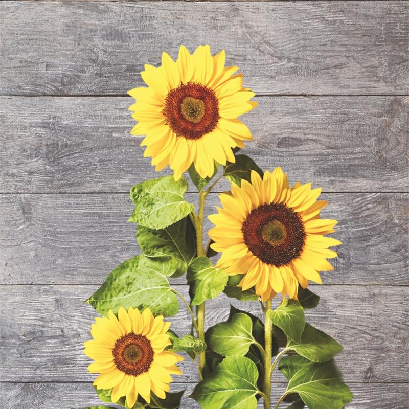 Sunflowers Hanging Towel for Farmhouse Decor