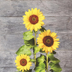 Sunflowers Hanging Towel for Farmhouse Decor