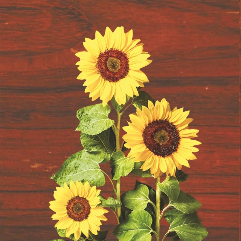 Sunflowers Hanging Towel for Farmhouse Decor