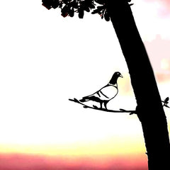 Iron Carrier Pigeon Tree Trunk Stake Fence Decor