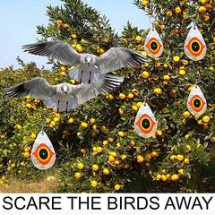 5pcs Bird Repellent Discs Reflective Eyes Keep Birds Away
