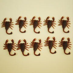 10pcs Halloween Plastic Scorpion Prank Props Home Room Theme Party Decor