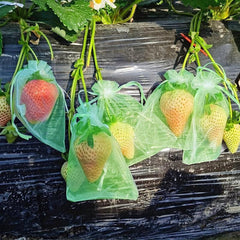 20pcs Fruit Protection Bags Drawstring Mesh for Trees