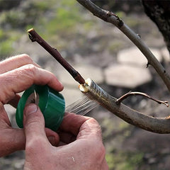 Fruit Tree Grafting Film-Binding Tree Band Garden Flower Plants Supplies