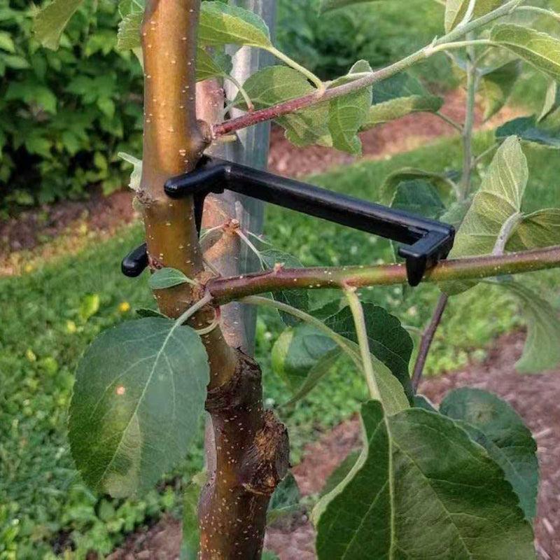 10pcs Fruit Tree Pulling Device Branch Sorting Pressing Garden Shaper
