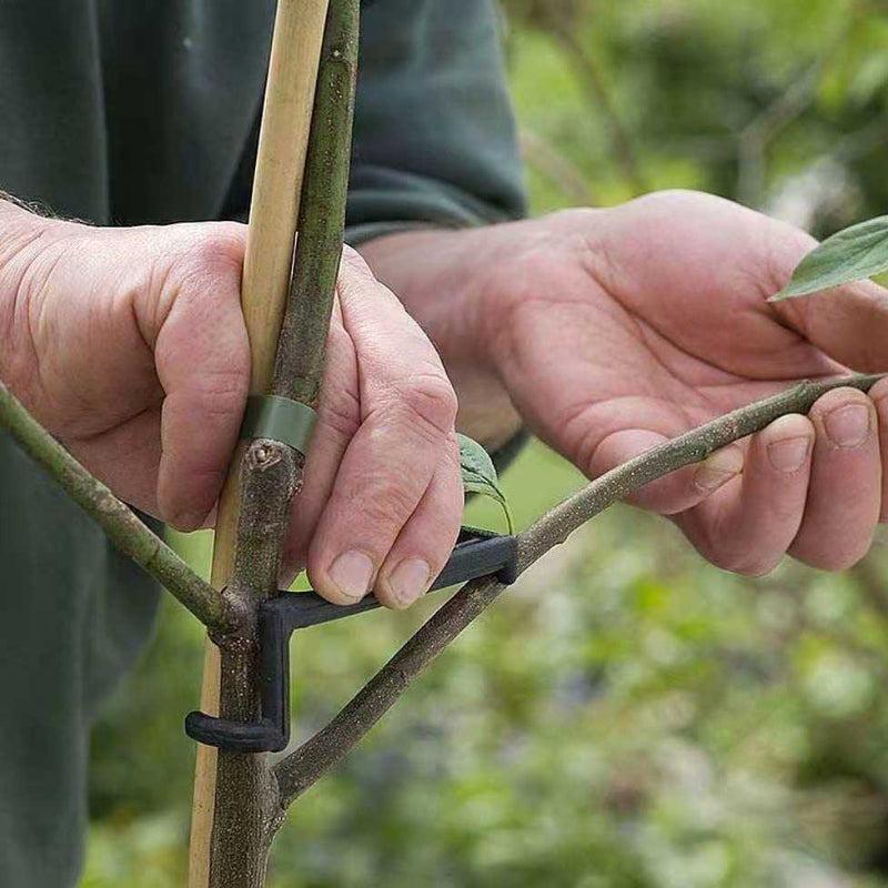 10pcs Fruit Tree Pulling Device Branch Sorting Pressing Garden Shaper