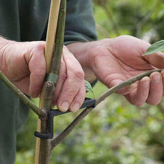 10pcs Fruit Tree Pulling Device Branch Sorting Pressing Garden Shaper