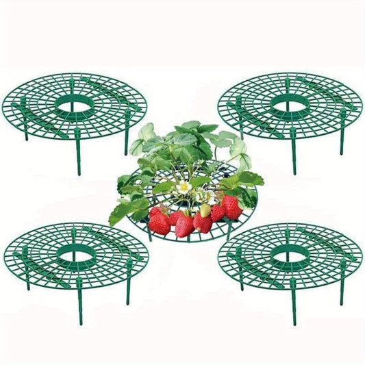 Green Strawberry Support Tray Balcony Planting Frame