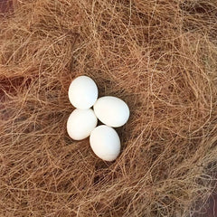 Coconut Shell Silk Decorative Bird's Nest Padding Greenery Covering