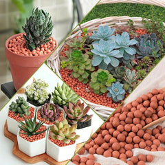 Ceramsite Clay Pebbles for Orchids and Indoor Plants 200 Al