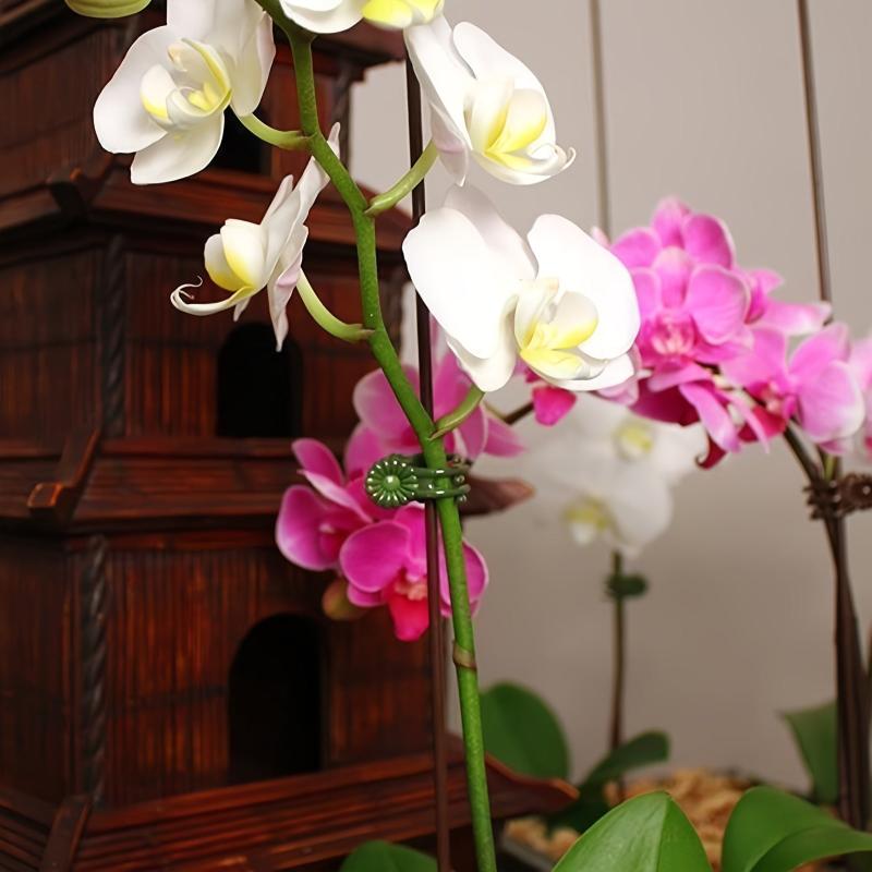 50pcs Plant Clips Orchid Support Clips Flower Vine Clips