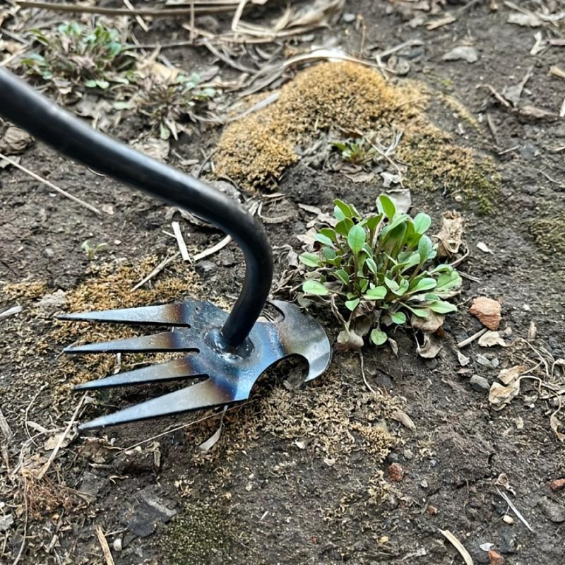 Manganese Steel Garden Hoe Tool for Weeding and Hoeing