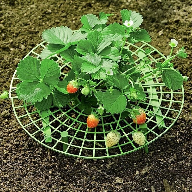 Hanging Rope Flower Pot for Delicious Strawberries