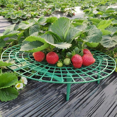 Hanging Rope Flower Pot for Delicious Strawberries