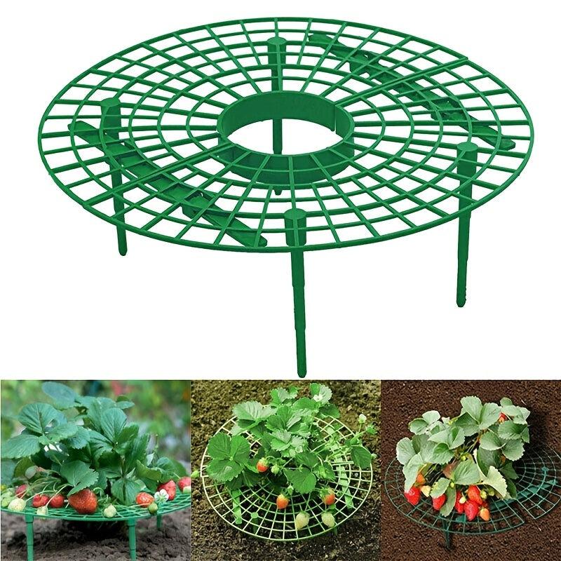Hanging Rope Flower Pot for Delicious Strawberries