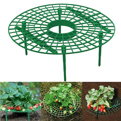 Hanging Rope Flower Pot for Delicious Strawberries