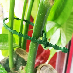 100pcs Adjustable Garden Plant Twist Ties Flexible Plastic Twist Ties Green