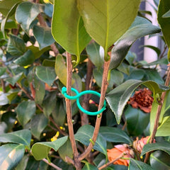 50pcs Plant Stand Trellis Clip for Growing Vegetables Upright