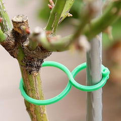 50pcs Plant Stand Trellis Clip for Growing Vegetables Upright