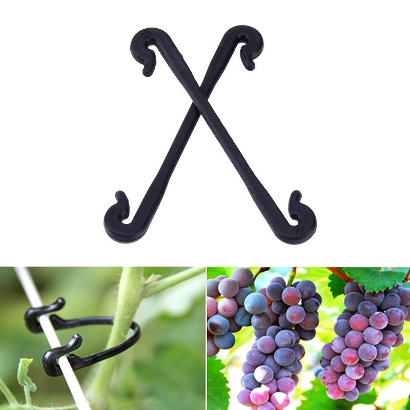 50pcs Outdoor Grape Vine Tying Wire Device Vine Fixed Binding Clip 5