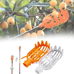 High Altitude Fruit Picker for Loquat, Bayberry, Peaches, Plums, Dates