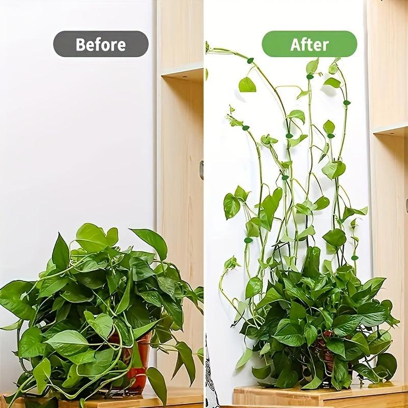 10pcs Plant Climbing Fixture Clips with 12pcs Adhesive Sticker