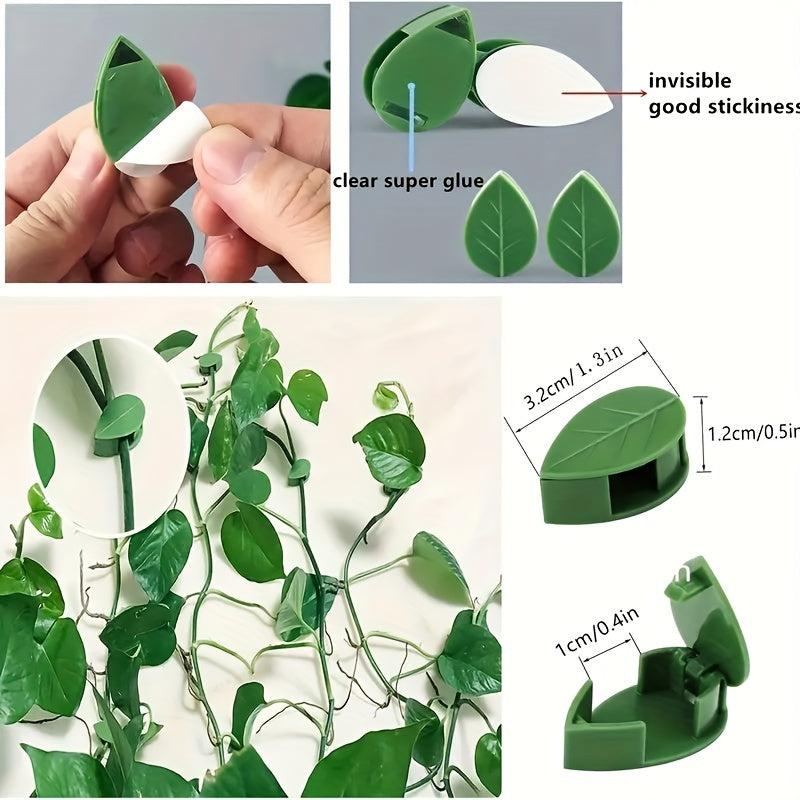 10pcs Plant Climbing Fixture Clips with 12pcs Adhesive Sticker