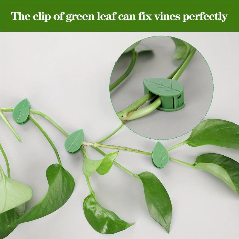 10pcs Plant Climbing Fixture Clips with 12pcs Adhesive Sticker