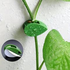10pcs Plant Climbing Fixture Clips with 12pcs Adhesive Sticker