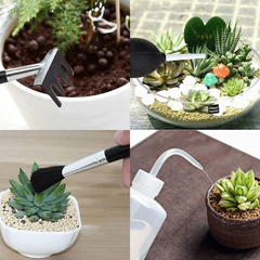 Mini Garden Hand Transplanting Succulent Tools Set for Indoor Fairy Care
