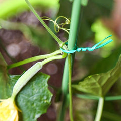 Green Plastic Garden Binding Twine For Climbing Plants Plant Support Cutter