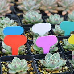 100pcs Gardening Plastic Plant Tag Waterproof Reusable Label